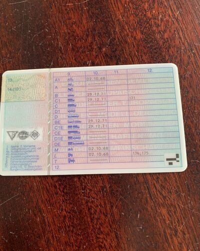 führerschein kaufen legal